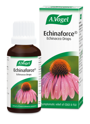A Vogel Echinaforce Drops 15ml (Echinacea)
