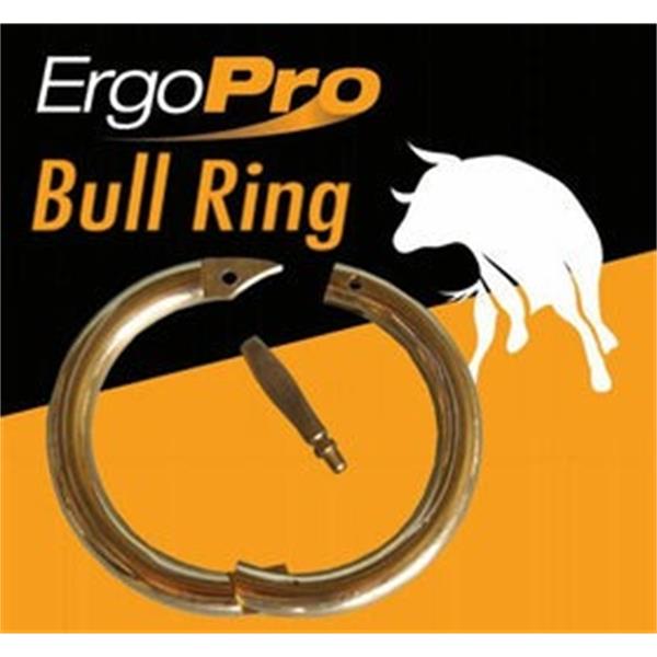 Brass bull rings 3"