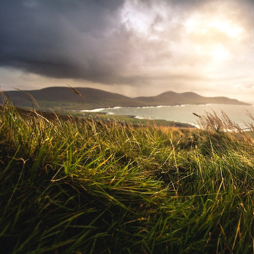 Irish Wind