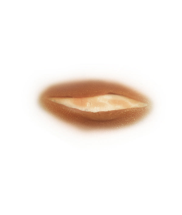 Open Cut 1 (Peeled)