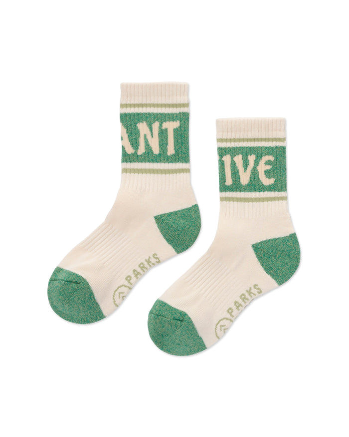 Shop Plant Native Trail Crew Sock 2 Pack Inspired by National Parks | green-and-natural