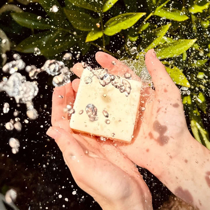 Person holding a Tallow Body Soap Bar under running water with green leaves background