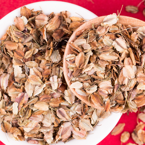 Angelica sinensis seeds
