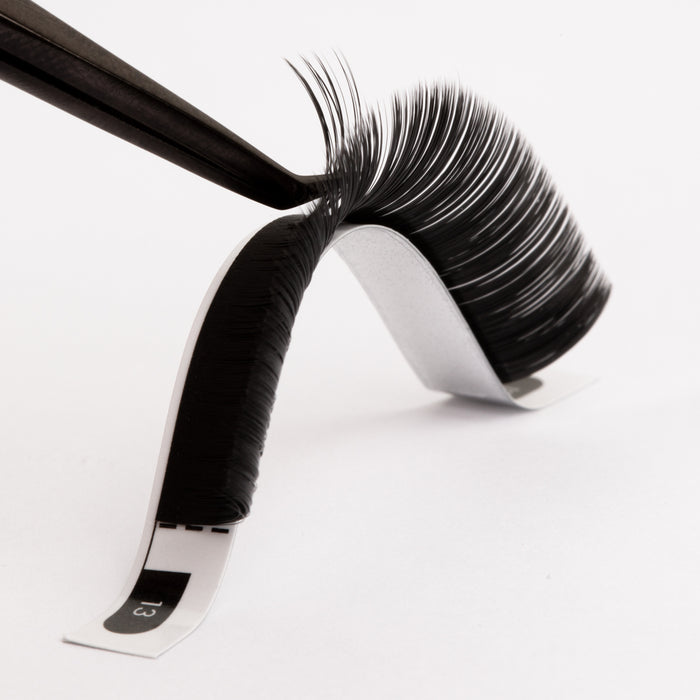 CAMELLIA - EASY FANNING VOLUME LASHES 0.07