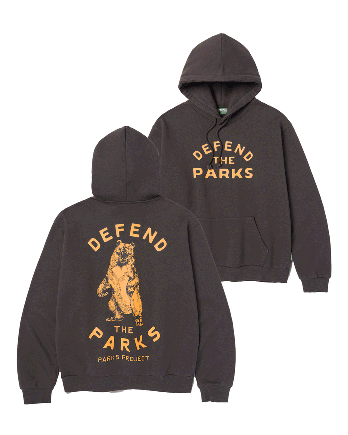 Shop Defend the Parks Bear Hoodie Inspired by Protecting National Parks