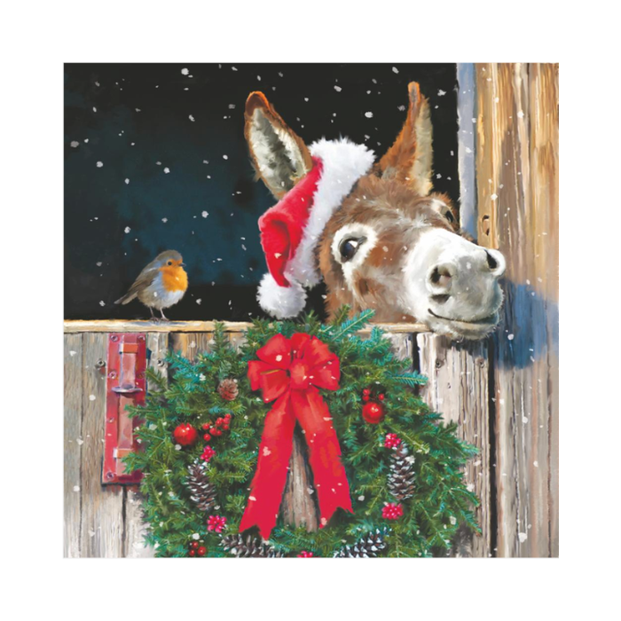 Friends with Donkey Napkin Lch