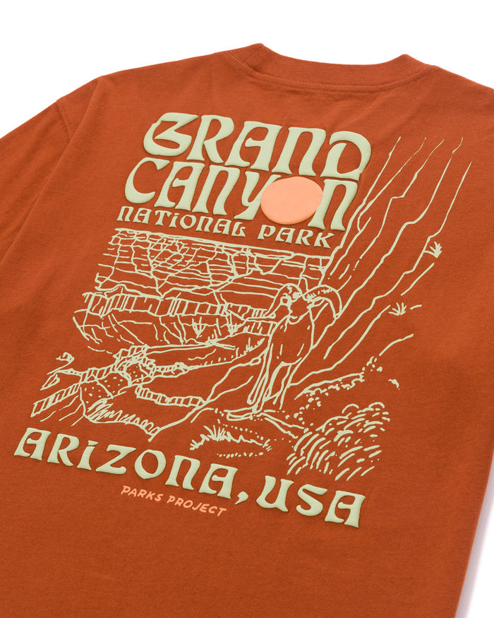 Shop Grand Canyon Puff Print Pocket Tee Inspired by US National Parks | rust
