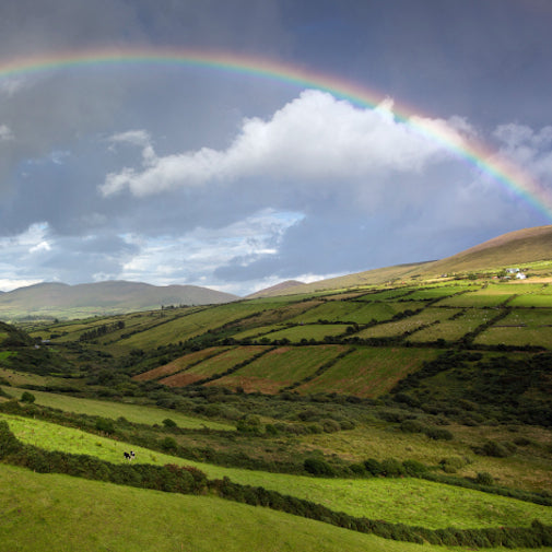Irish Rainbow