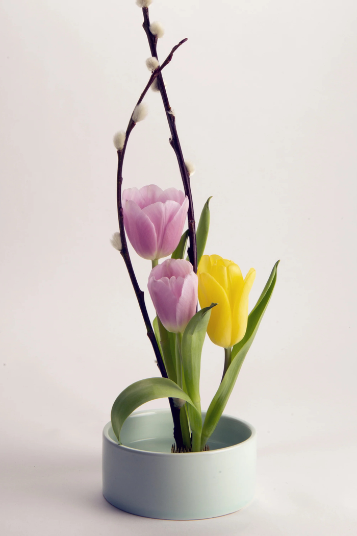Kikkerland-Mini-Ikebana-Kit