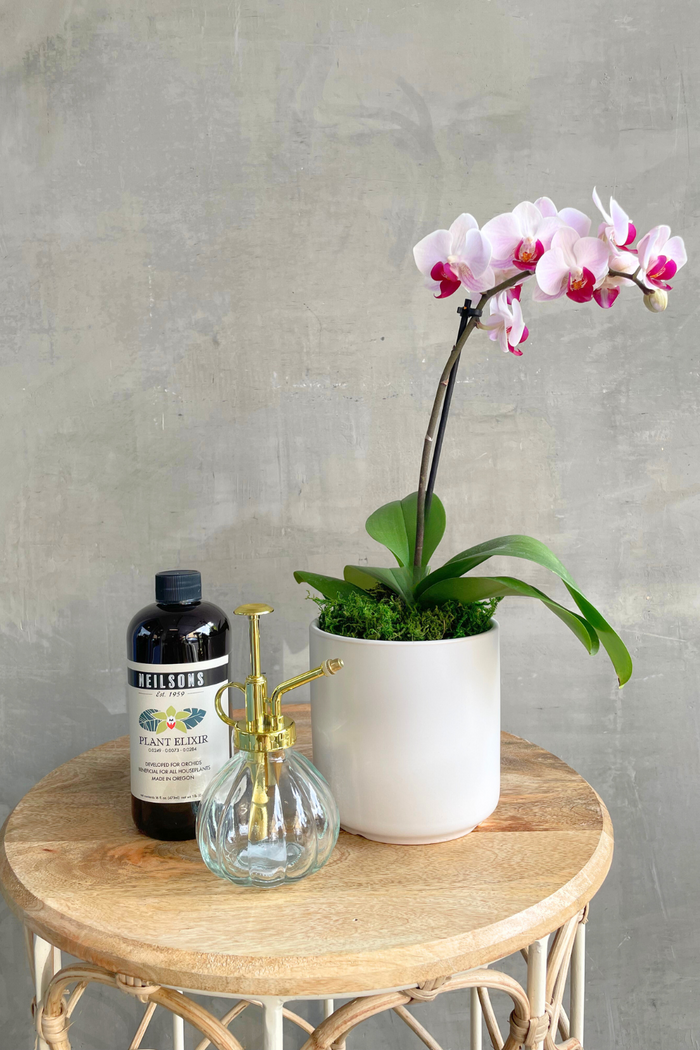 ECOVIBE-Neilsons-Plant-Elixir