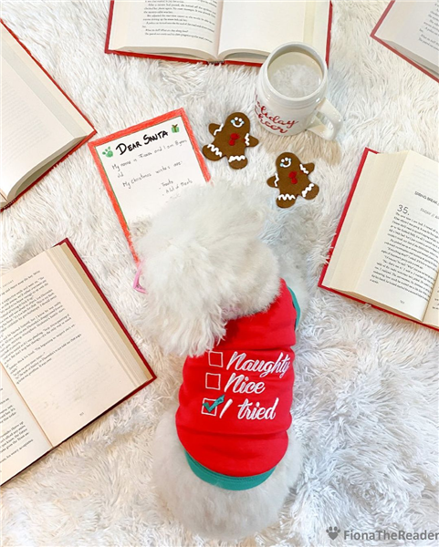 Parisian Pet Naughty or Nice Dog Tank