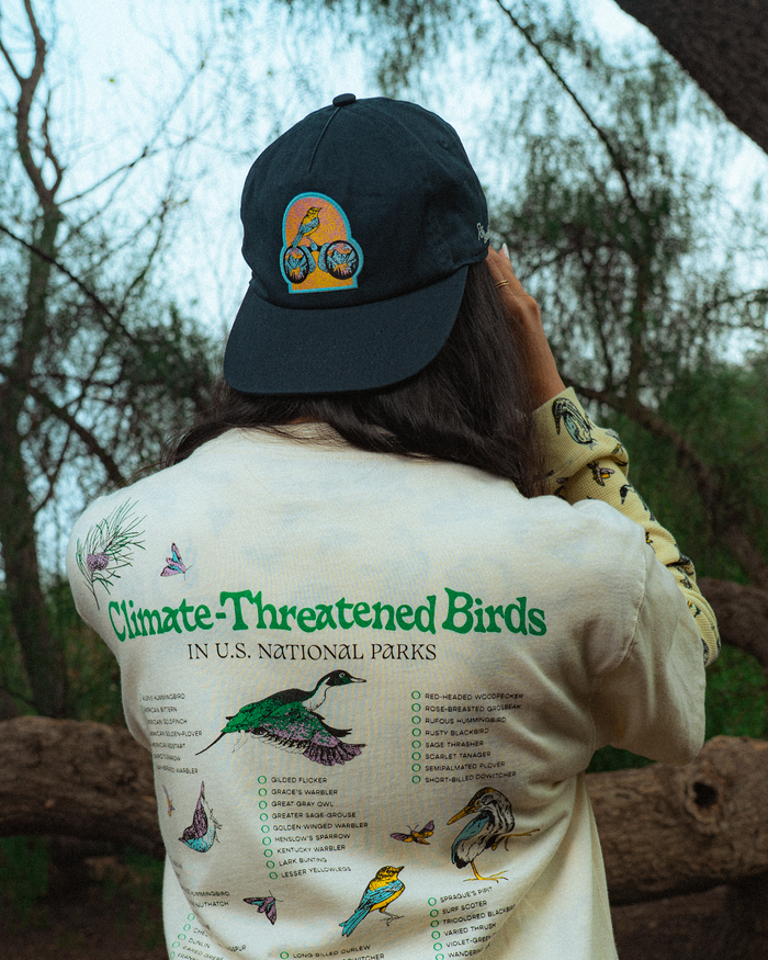 Sho Parks Project x Audubon Patch Hat Inspired by birds in National Parks | navy