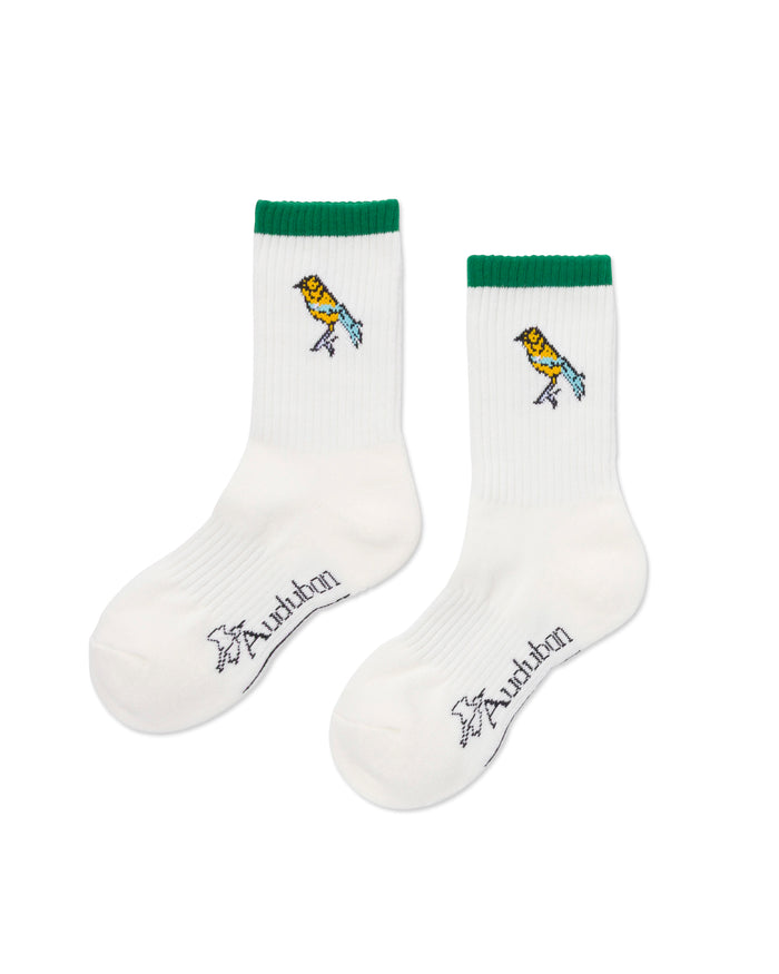 Shop Parks Project x Audubon Trail Sock Inspired by National Parks | natural