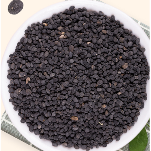 Scutellaria baicalensis & Scutellariae Seeds