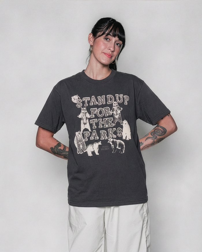 Shop Stand Up For The Parks Tee Inspired by National Parks | vintage-black