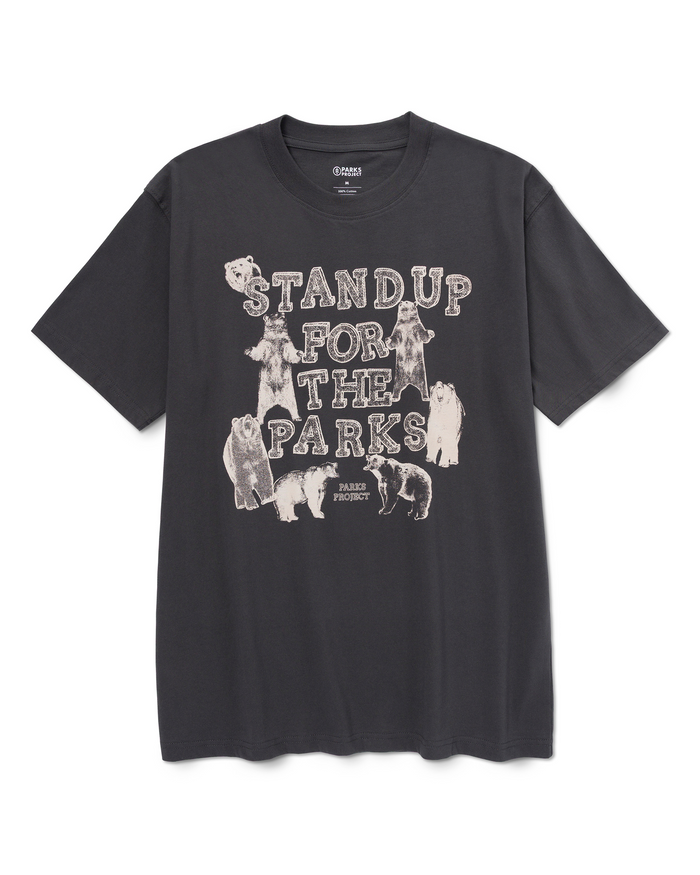 Shop Stand Up For The Parks Tee Inspired by National Parks | vintage-black