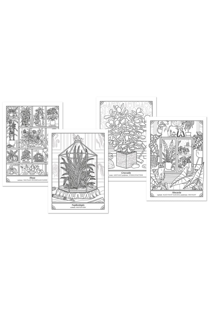 The-Happy-Houseplant-Coloring-Book