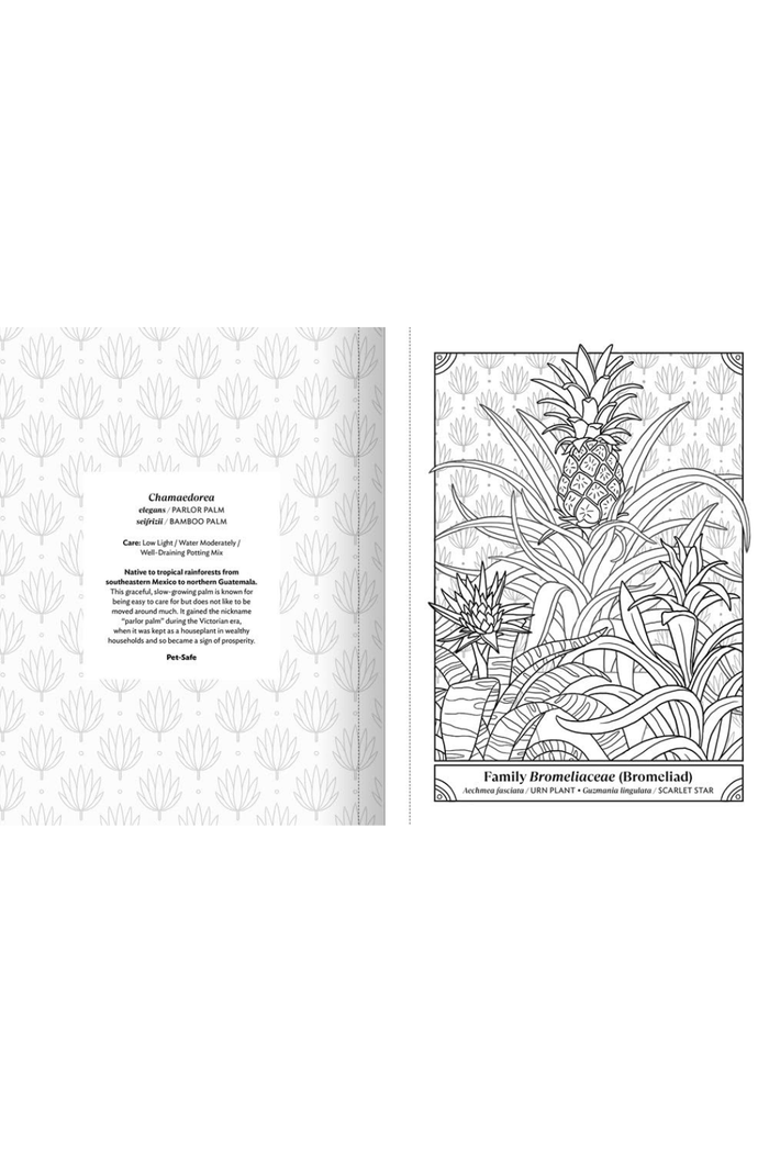 The-Happy-Houseplant-Coloring-Book