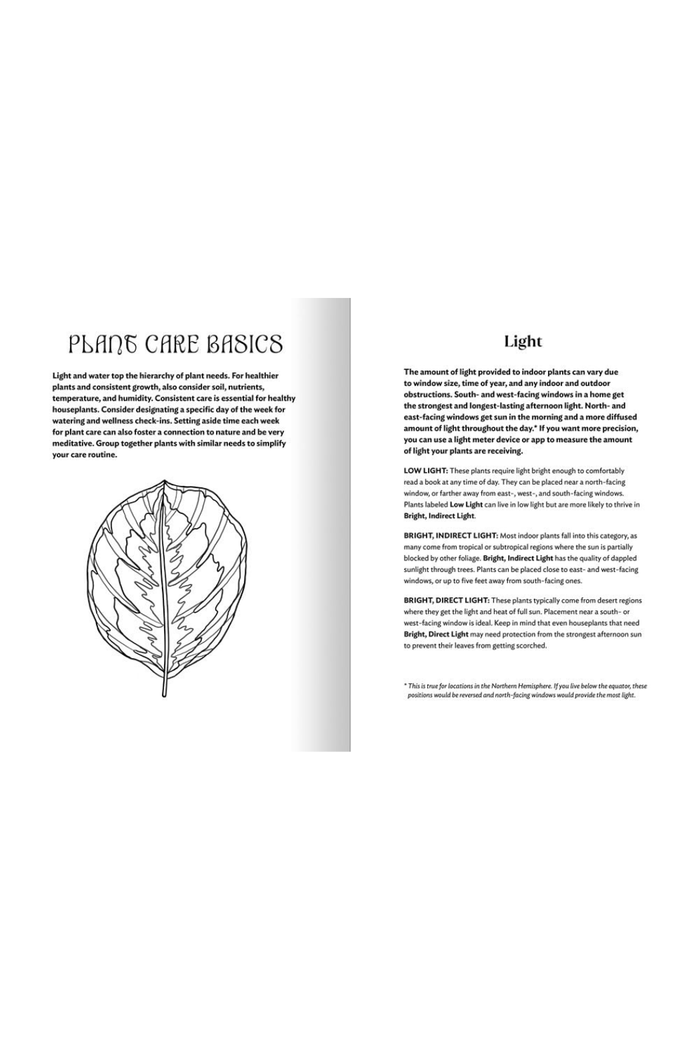 The-Happy-Houseplant-Coloring-Book