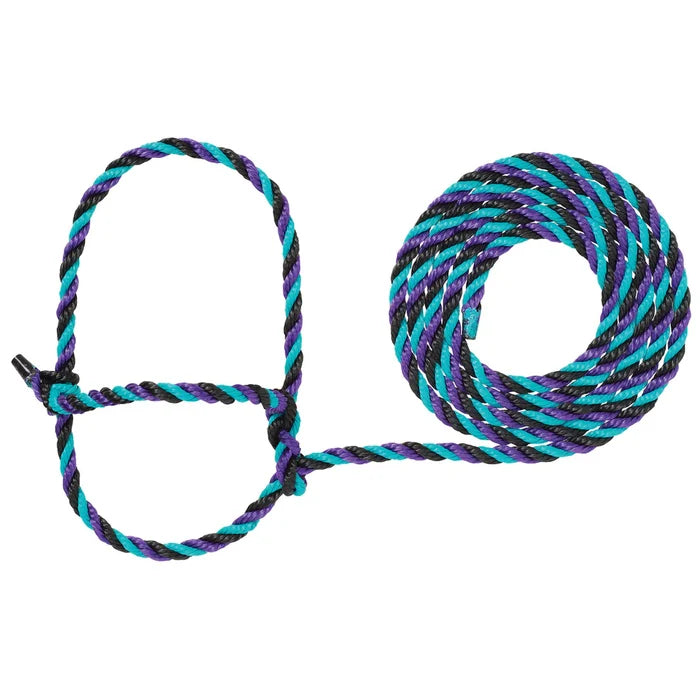 Purple/Black/Teal