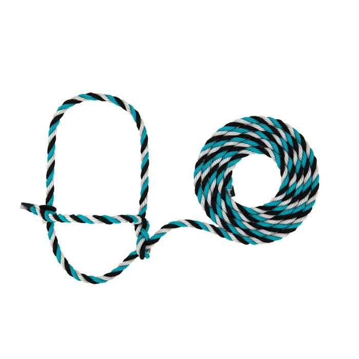 Teal/Black/Gray