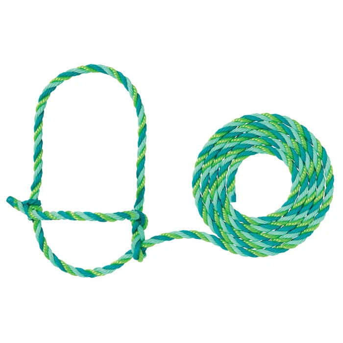 Lime/Mint/Teal