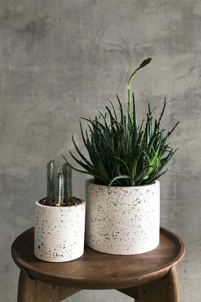Accent Decor White Terrazzo Pot